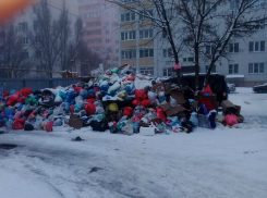 Жители по улице Сызранова пишут о «красоте» в родном дворе