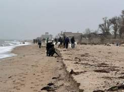 Экологический вызов на Азовском побережье: специалисты из Таганрога приступили к анализу последствий разлива мазута