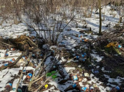 Посадка в Таганроге тонет в мусоре пока власти ищут деньги на уборку