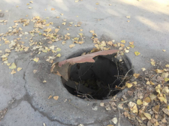 Блюдящая за чистотой Таганрога Муниципальная инспекция  сидит в «листочках и ловушках»