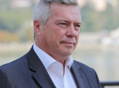 Президент исключил Донского губернатора из состава совета по развитию спорта