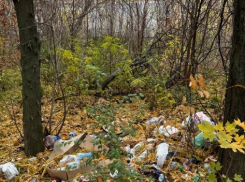 Нет денег на уборку: превратится ли посадка в Таганроге в свалку?