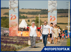 Как прошло торжественное открытие комплекса «Самбекские высоты»