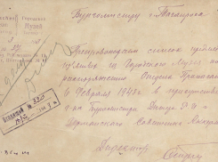 Гриф «Секретно» сняли со списка вещей, которые были вывезены из музеев Таганрога