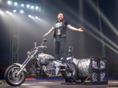 Цирковое шоу династии Довгалюк: вселенная счастья