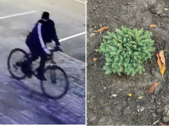 В Таганроге воришка решил заранее готовиться к Новому Году