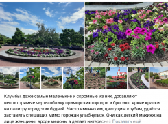 Может место проклятое? Бывшая глава Таганрога хвастается озеленением на новом месте работы