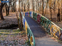 Роща «Дубки» - что нам о ней известно