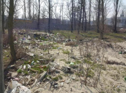 Территория вокруг Гринвич Парка выглядит как  дикое захолустье 