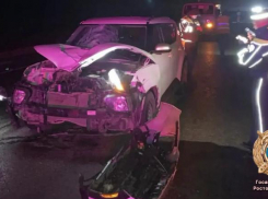 Женщина погибла под колёсами машины на ночной трассе под Таганрогом