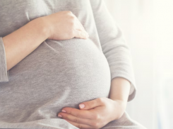 Прокуратура Неклиновского района защитила права беременной женщины