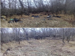 Замели следы, да не там: таганрогское такси «Курьер» отчиталось в социальных сетях о проведённом субботнике в роще