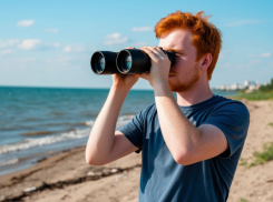 Скрытное животное в Таганрогском заливе: учёные просят курортников и местных жителей о помощи