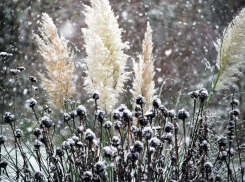 В первый день 2020 года синоптики обещают небольшой снег в Таганроге