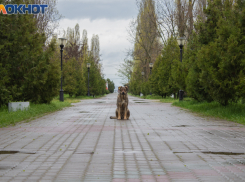 МЧС сообщает о штормовом предупреждении в регионе
