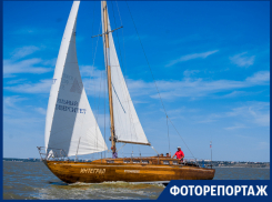 В Таганроге прошла  Чеховская регата «Чайка»