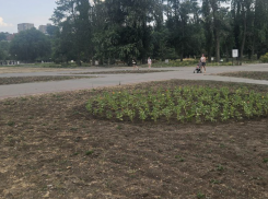 «Испохабили!»: таганрожцы накинулись на Камбулову из-за Пушкинской набережной