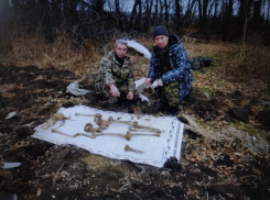 Останки красноармейцев будут перезахоронены на Самбекских высотах