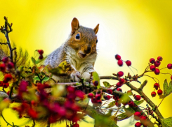 Можно делать ремонт, но не брать подарки: советы для таганрожцев в Григорьев день
