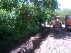 Таганрожцы отвоевали у муниципальщиков зеленые насаждения