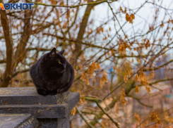 1 ноября встречаем Иванов день и провожаем осень: советы и предостережения для таганрожцев