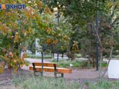 24 октября: народные приметы и советы для таганрожцев на Филиппов день