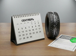 Таганрогским автомобилистам напомнили о вступающих в силу изменениях с 1 сентября
