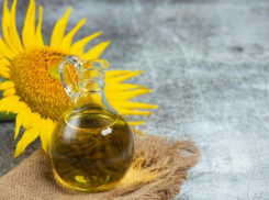 Под Таганрогом построят завод по производству подсолнечного масла 