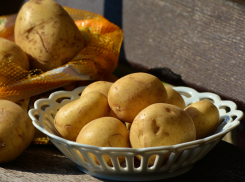 Цена на картошку в Таганроге взметнётся зимой? Ответила глава Минсельхоза 