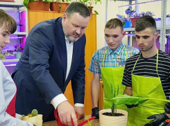 Заплатят ли таганрожцы налог на тунеядство