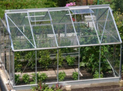 В Неклиновском районе поймали наркодилера- агронома