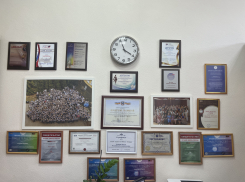 ТМОЛ №4 занял 2-е место в рейтинге лучших школ Ростовской области