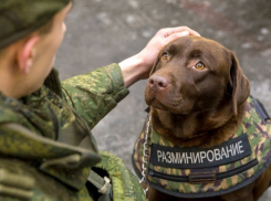 В Таганроге «заминировали» Сбербанк