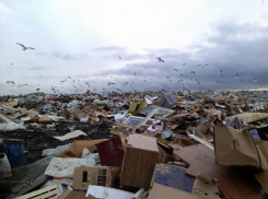 Полигон ТБО в Таганроге рекультивируют до 2024 года