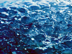 Таганрожцев  совсем запутали – вода чистая, но в море не ходить и  рыбы не ловить