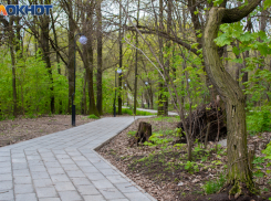 Таганрогский экопроект - победитель Всероссийской премии