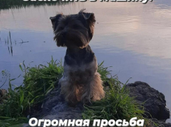 Пропал друг семьи