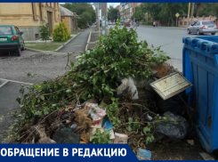 Жители обвинили территориальное управление в создании свалок в Таганроге