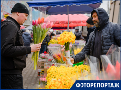 Тюльпан и Мимоза- символы 8 Марта!