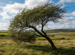Сегодня нельзя идти против ветра: советы таганрожцам на 21 августа