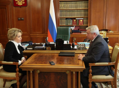 Голубев отчитался «опекуну» Таганрога о строительстве нового завода