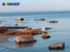 17 марта — день Герасима Грачевника: грачи прилетели, а кикимору — вон из дома