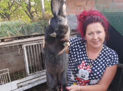 Какую живность выгодно выращивать в домашних условиях