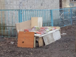 Таганрожцы просят помощи — сердобольные бабушки прикармливают бездомных собак и кошек