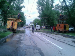 Падение дерева на трамвайную остановку в Таганроге попало на видео