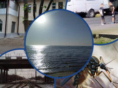 Старт учебного года и затраты родителей, ремонт Бакинского моста, окончание заморного периода в Азовском море: популярные новости уходящей недели