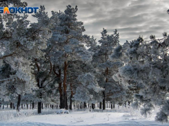 Метель, ледостав и крещенские морозы: что ждёт Таганрог в ближайшие дни
