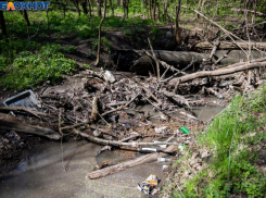 1.7 млн потратят на смету, согласно которой будут чистить реку Большая Черепаха