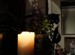 На нескольких улицах в Таганроге в течение двух месяцев будут выключать свет