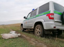 Под Таганрогом задержали браконьеров, которые оказывали сопротивление 